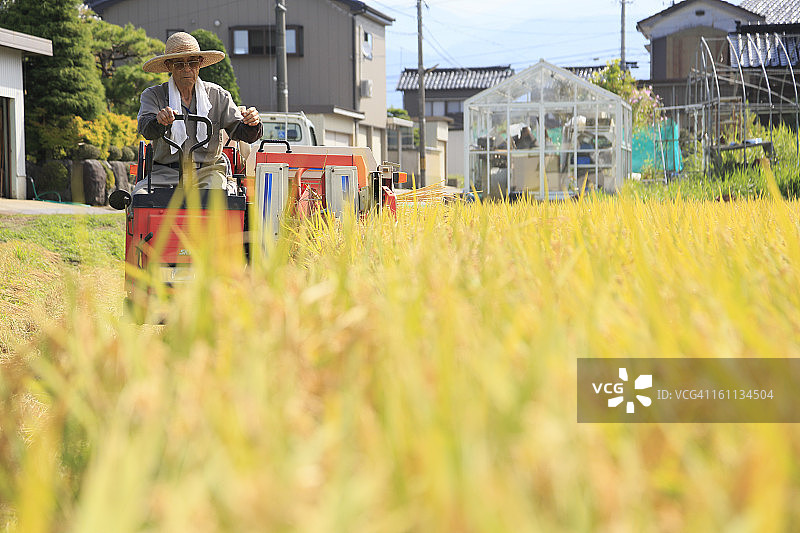 农民用联合收割机收割水稻图片素材