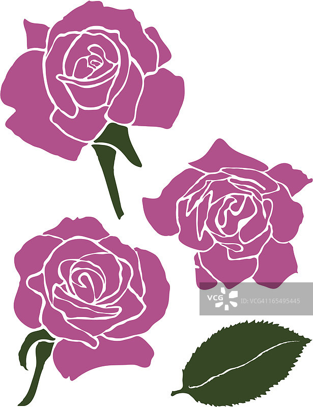 三朵玫瑰和玫瑰叶图片素材