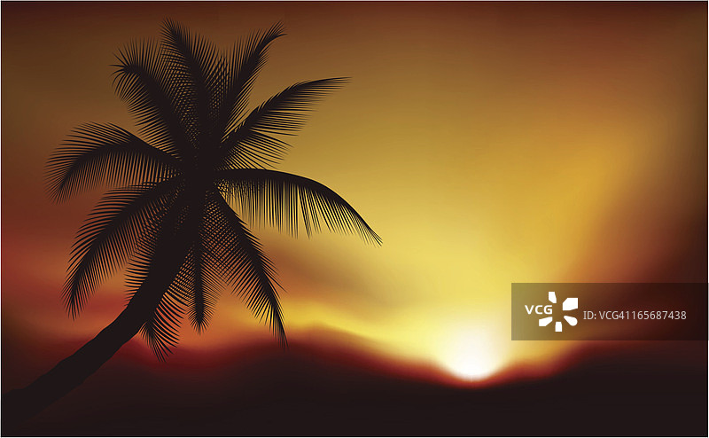 日落的棕榈树图片素材