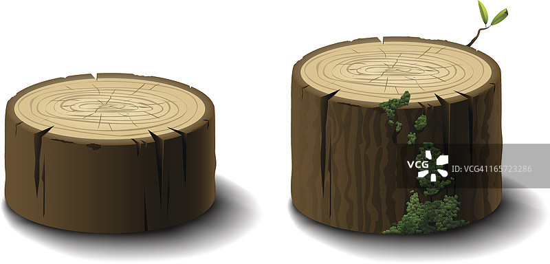 原木或树桩图片素材