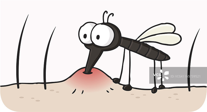 卡通/吸血蚊子/蚊虫叮咬图片素材