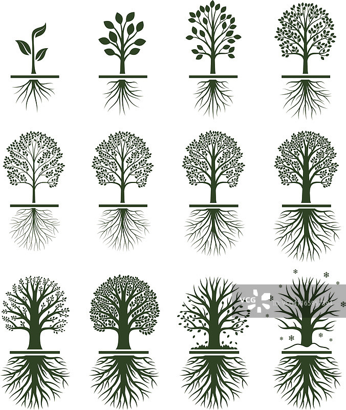 树木生长周期图标设置图片素材