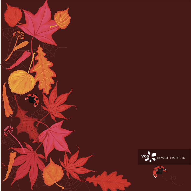 红色和金色的秋叶背景图片素材