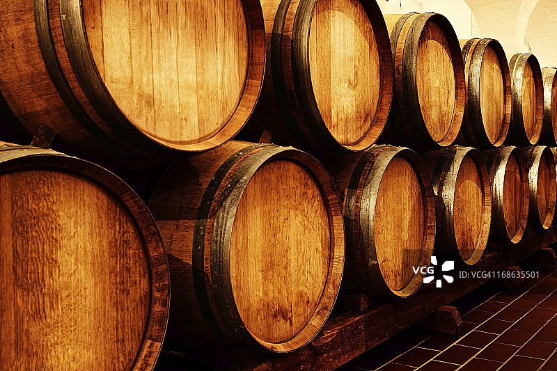 许多黄金橡木桶在酒窖中成熟葡萄酒图片素材