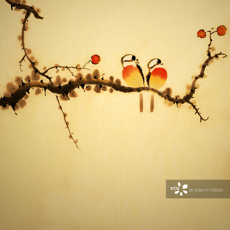 树枝上两只鸟的插图图片素材