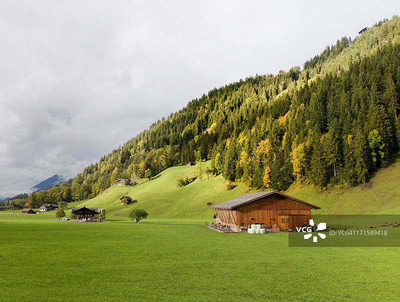 瑞士伯恩斯高地的秋季景观图片素材