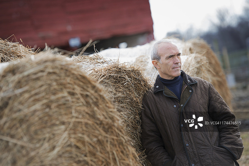 冬天的有机农场。一个男人站在大草堆旁边。图片素材