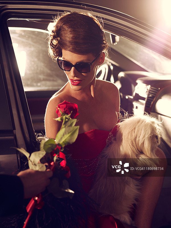 迷人的名人女人在红色晚礼服接受玫瑰图片素材