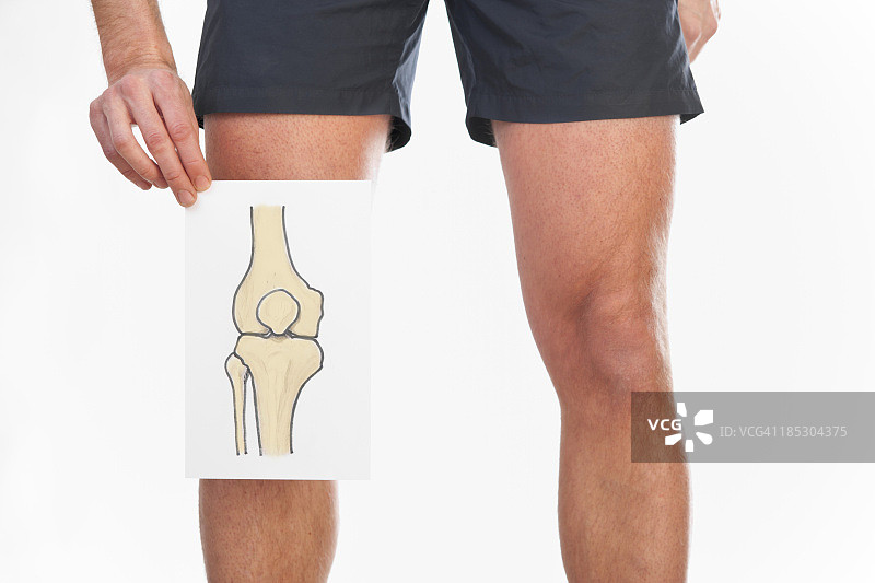 画一个人的膝关节图片素材