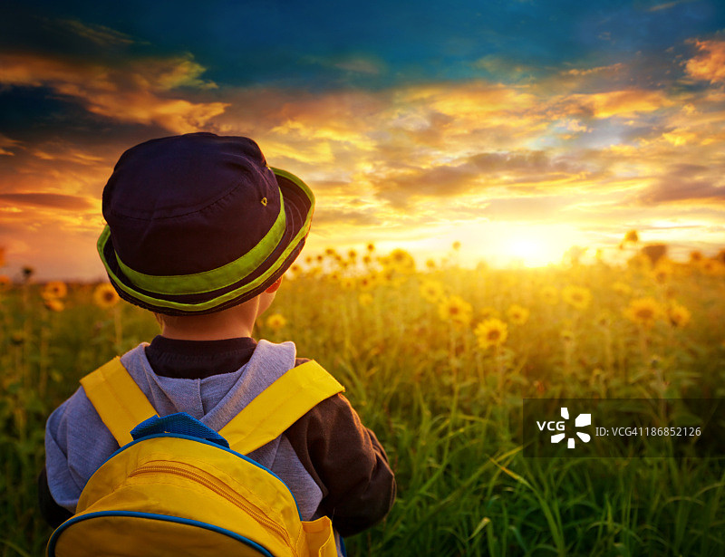 一个背着书包的小男孩在向日葵上图片素材