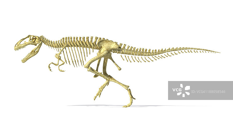 南方巨兽龙恐龙骨骼的3D渲染，侧视图。图片素材
