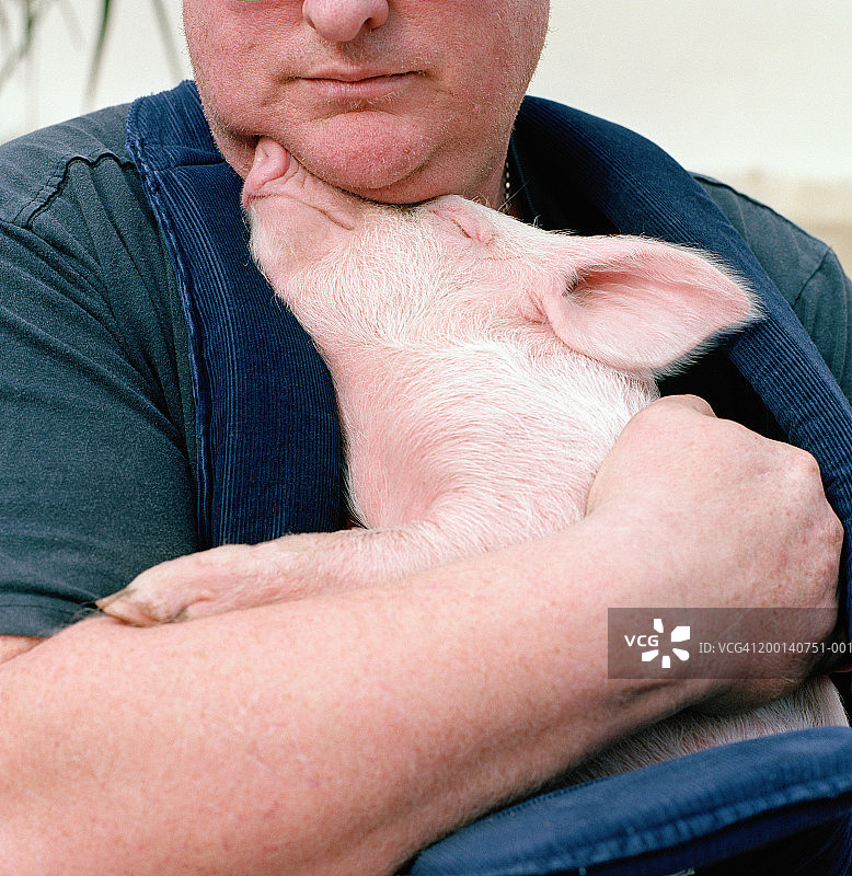 男子拥抱小猪，近处图片素材