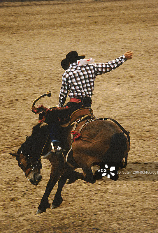 在牛仔竞技场上，侧面的野马骑手图片素材