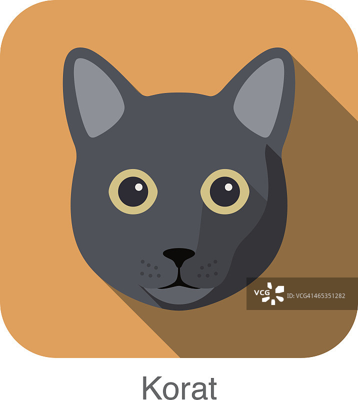 克拉特猫，猫品种脸卡通平面图标设计图片素材