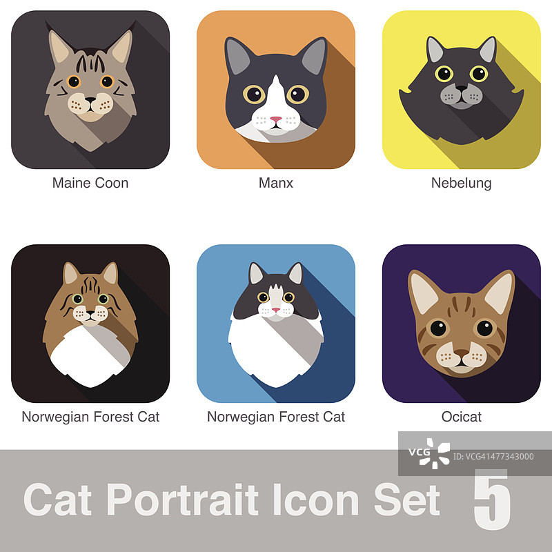 猫品种脸卡通平面图标系列图片素材