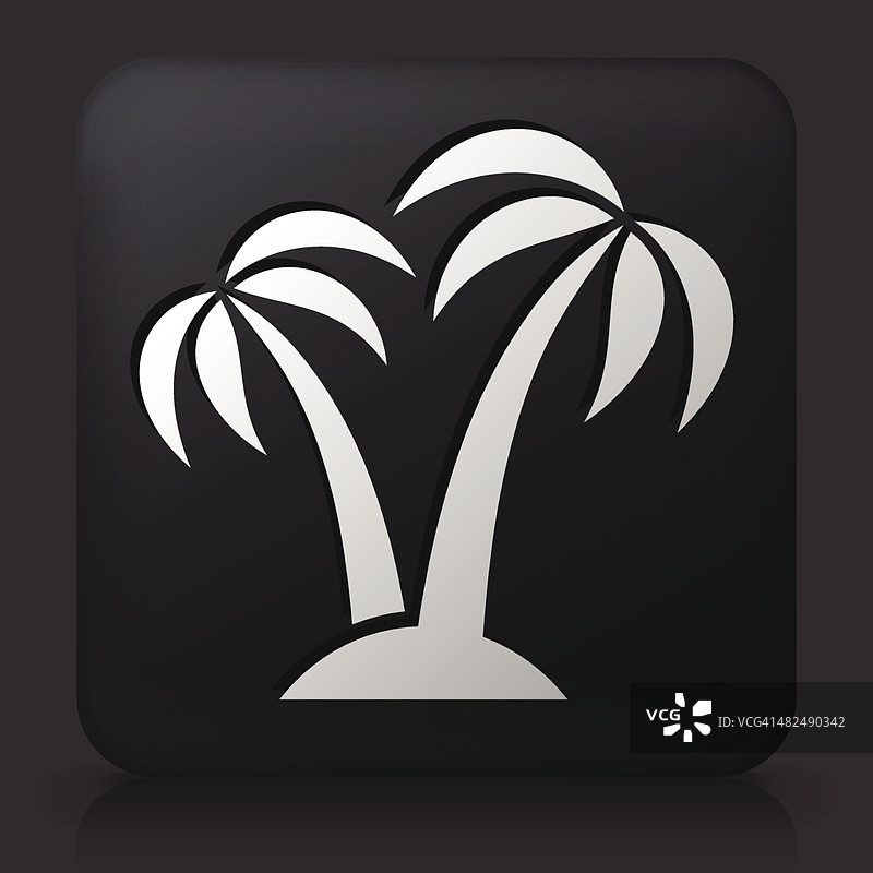 黑色方形按钮与棕榈树图标图片素材