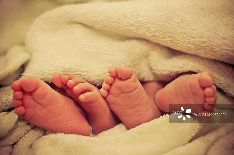双胞胎的婴儿脚图片素材