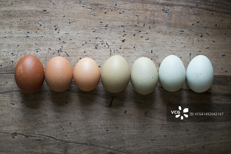 鸡蛋排成一排，特写图片素材