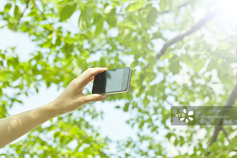 一名女子在树荫下使用智能手机图片素材