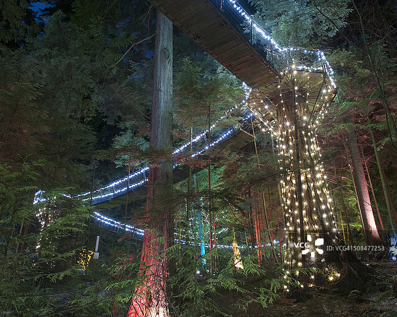加拿大不列颠哥伦比亚省温哥华的卡皮拉诺吊桥公园图片素材