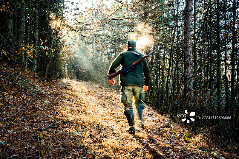 猎人拿着步枪在森林中移动图片素材