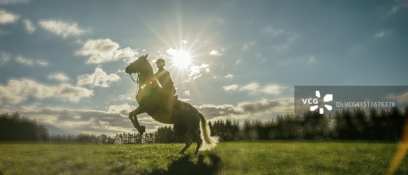 在草地上，一个骑马的人使她的马直立起来图片素材