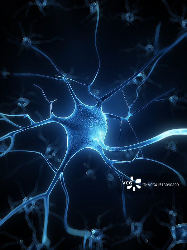 人类神经细胞，艺术品图片素材