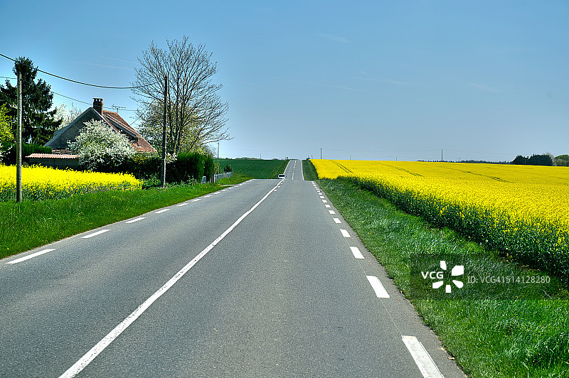 道路和油菜籽田靠近Morteau的杜布司法国图片素材