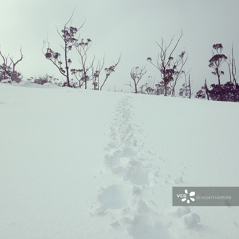 雪地上的脚印从地平线上飘过来图片素材