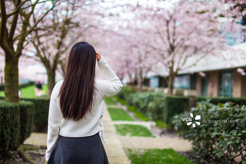 走在樱花树下的女孩图片素材