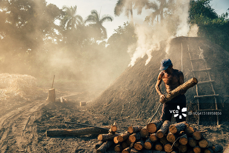 古巴木炭生产，工人拿着树干图片素材