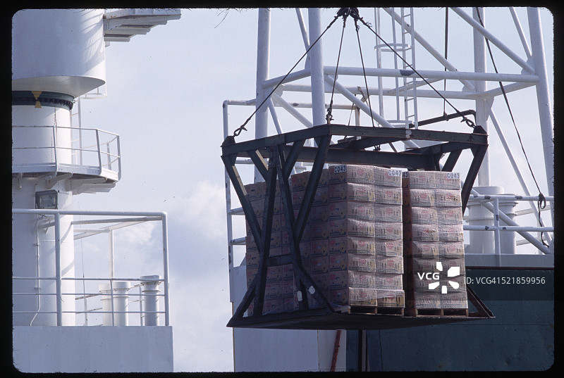在莫因港的德尔蒙特船上装载香蕉图片素材