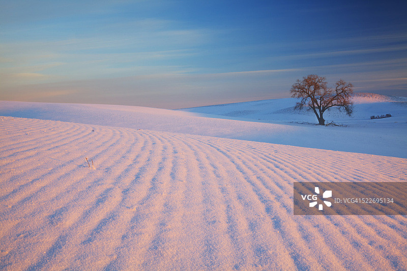 夕阳和白雪覆盖的麦田的图案图片素材