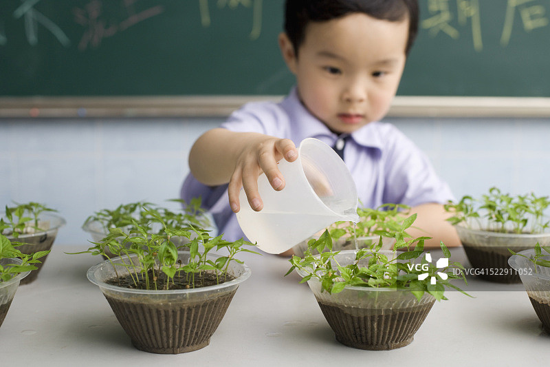 一个男生在教室里给植物浇水图片素材