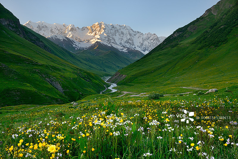 格鲁吉亚斯瓦涅蒂的Ushguli村，野花草地和Shkhara山的景色图片素材