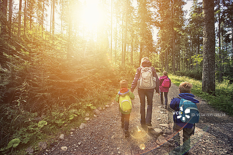 妈妈和孩子们在阳光明媚的森林里徒步旅行图片素材