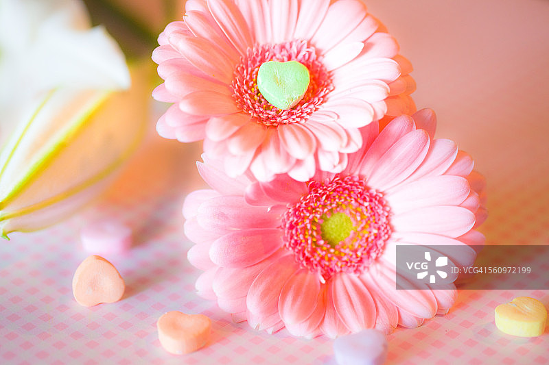 粉红色的心形花朵图片素材