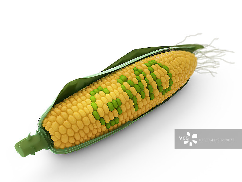 转基因玉米，插图图片素材