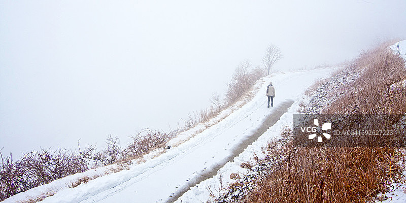 在雪地里孤独的行走图片素材