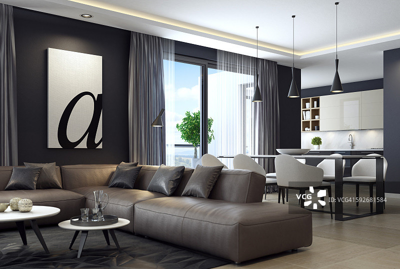 现代豪华黑色公寓与真皮沙发图片素材