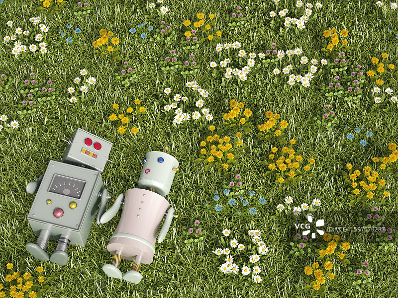 男女机器人躺在花草地上，3D渲染图片素材