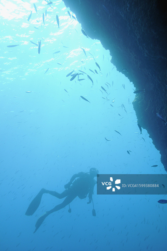 戴水肺的潜水员在看鱼，地中海的马赛海岸，法国，欧洲图片素材