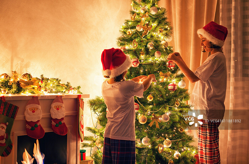 家庭装饰圣诞树图片素材