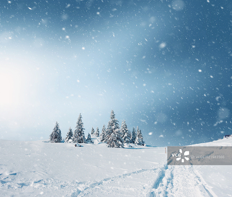 下雪的景色图片素材