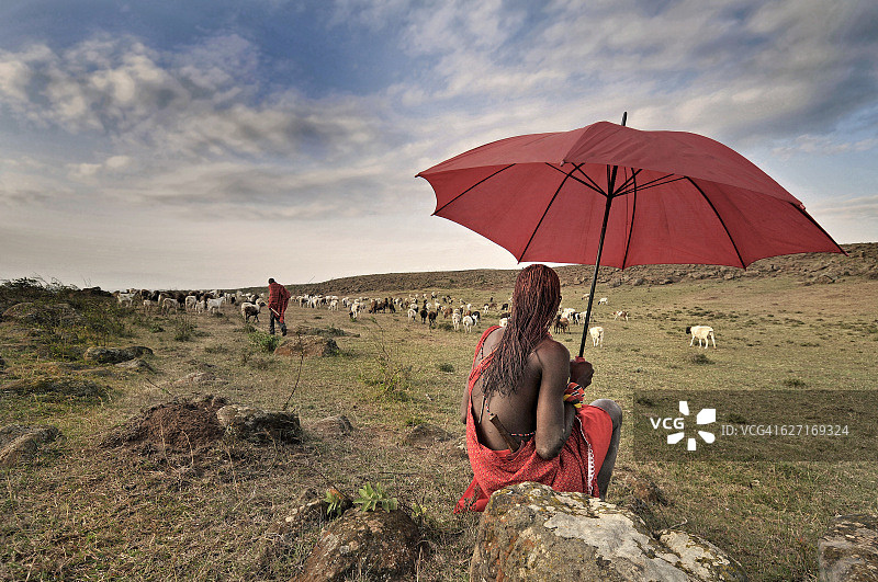 马赛勇士看着一群山羊——非洲肯尼亚。图片素材
