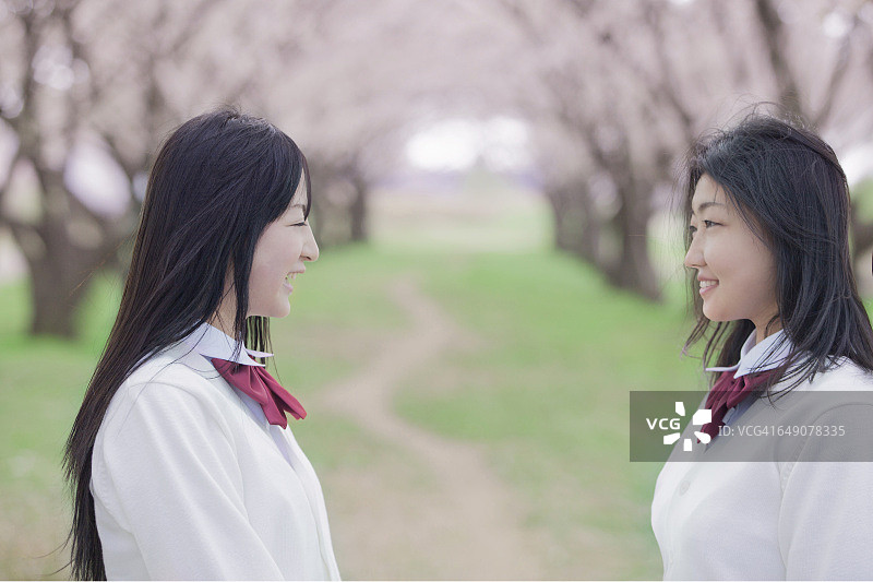 日本高中生面朝后面的樱桃树图片素材