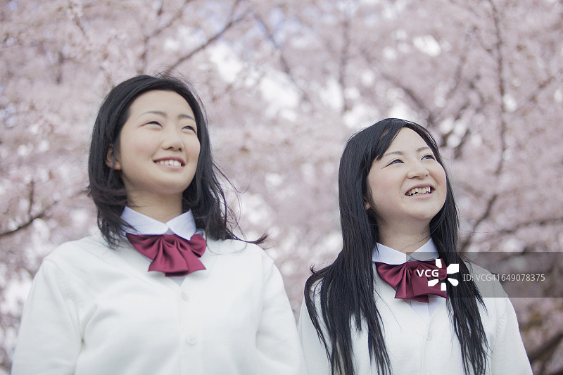 日本高中生们站在樱花树后面图片素材