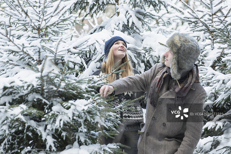 朋友们在白雪覆盖的森林里寻找圣诞树，巴伐利亚，德国图片素材
