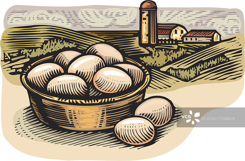 一篮子农场新鲜鸡蛋的插图图片素材