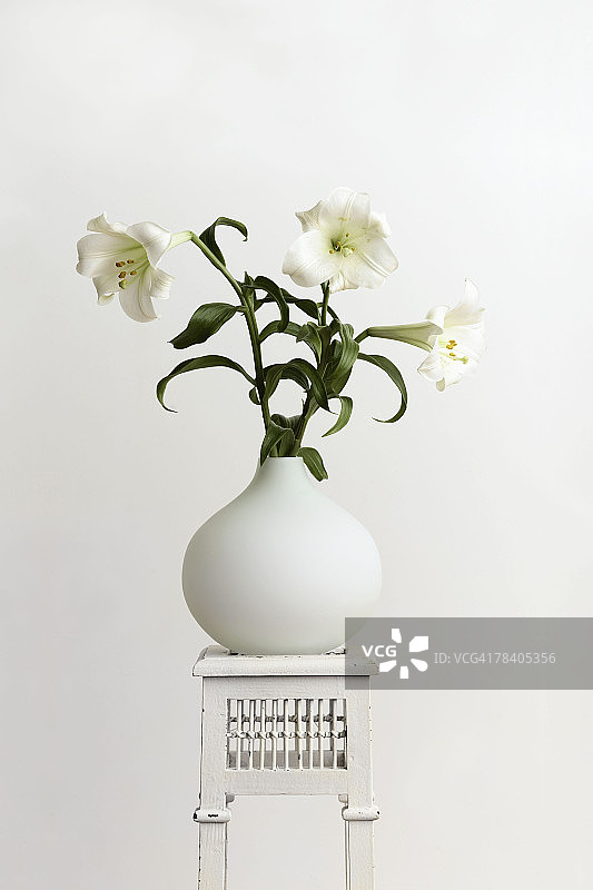 花瓶上的白色图片素材